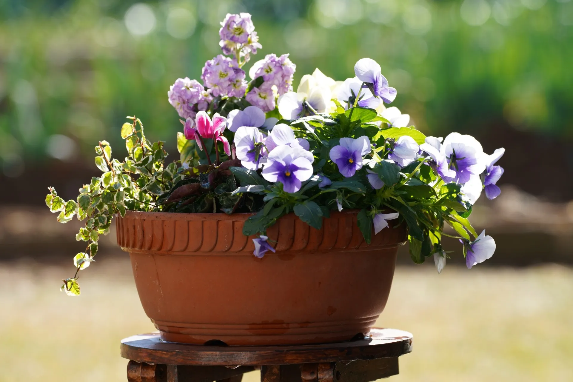 保冷剤を使用した保水剤