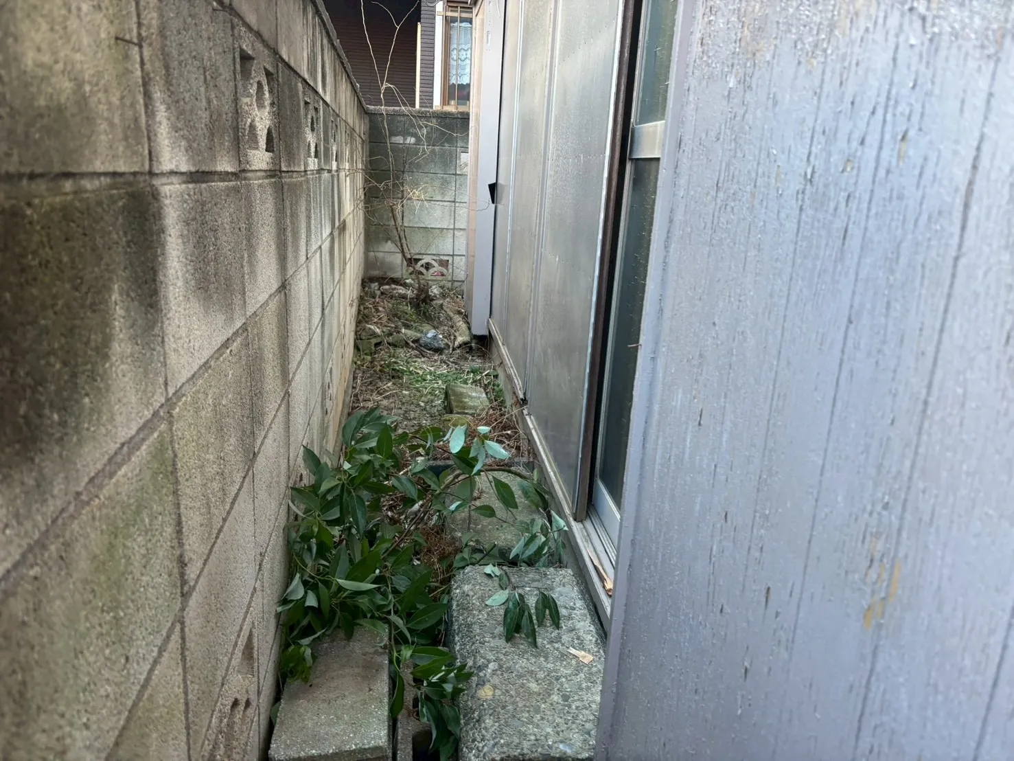 練馬区残置物庭片づけ後